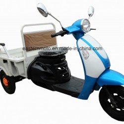 Electric Tricycle for Cargo Rickshaw