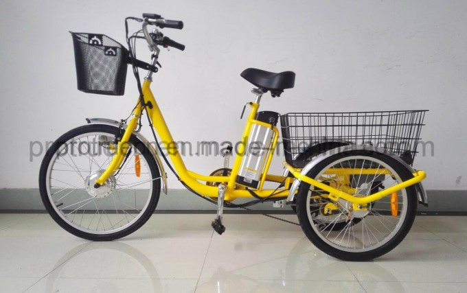 3 Wheel Electric Bicycle with Cargo Image1