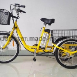 3 Wheel Electric Bicycle with Cargo