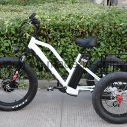 Lithium Battery Electric Tricycle with Small Cargo