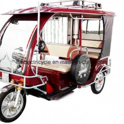 Bangladesh Market Borac Auto Rickshaw, Passenger Tricycle Electric