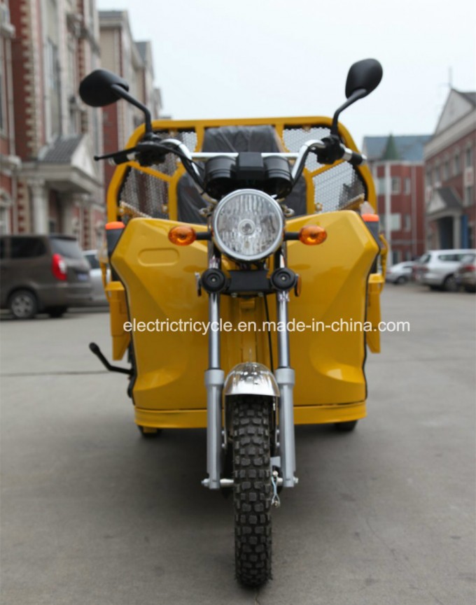 China Three Wheel 48V800W Pedal Electric Farm Cargo Bike Tricycle Image1