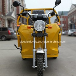 China Three Wheel 48V800W Pedal Electric Farm Cargo Bike Tricycle