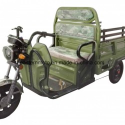 2017 Factory Hot Sales The Latest Design Electric Tricycle