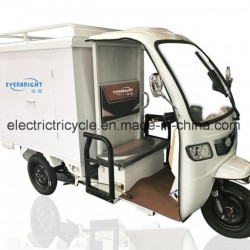 Mike Cargo Rickshaw 3 Wheel Cargo Electric Food Tricycle
