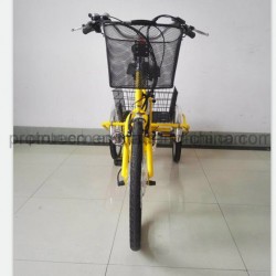 Lithium Battery Tricycle with Small Cargo