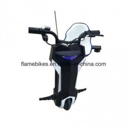 250W Electric Drift Trike for Kid and Adult