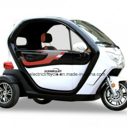 1200W Full Enclose Cabin Electric Tricycle 3 Wheel Cover Motorcycle