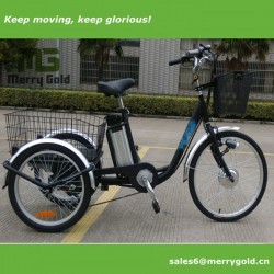 2017 Hot Selling 24" Cargo Swing Electric Tricycle for Sale
