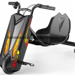 250W 3 Wheel Electric Bike with Lithium Battery