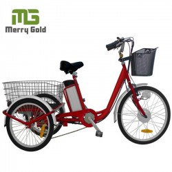 250W Big Size Three Wheel Electric Trike for Cargo Use