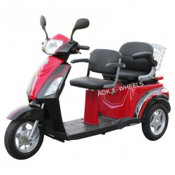High Quality Powerful Electric Disabled Scooter, Electric Tricycle with Double Deluxe Saddle (TC-018