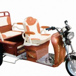 New Energy Health Express Electrical Car