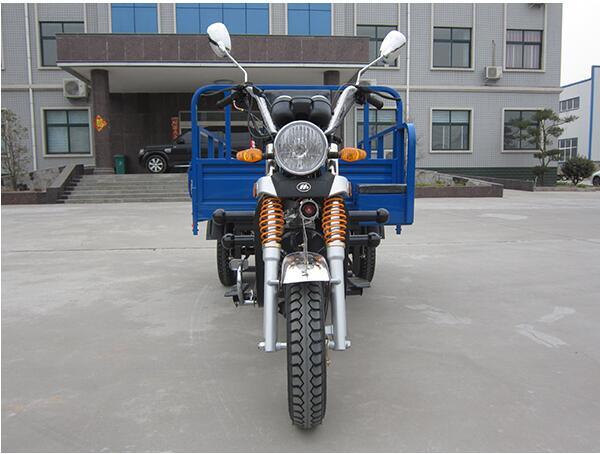 200cc Electric Three Wheel Cargo Tricycle for India Market Image1