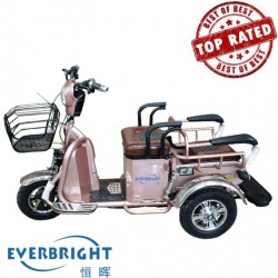 Cheap Electric Moped Scooter Ebike Three Wheel Bicycles for Seniors