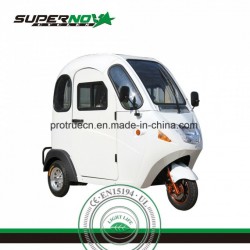 Electric Bicycle Passenger Tricycle Good Balancing