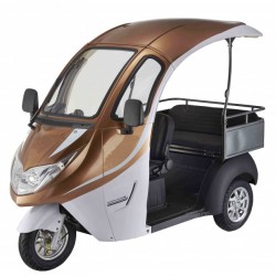 2016 The New Electric Scooter for Passenger and Freight