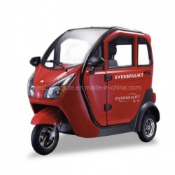 Full Enclosed Cabin Electric Mini Scooter Tricycle with Automatic