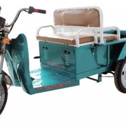 The Cheap Electric Tricycle for Cargo