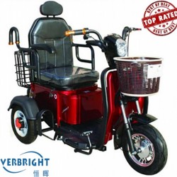 Three Wheel Electric Tricycle with 60V High Quality