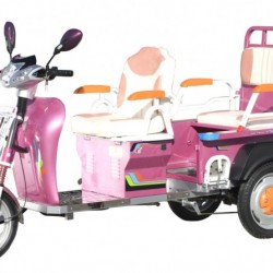 Red Bean Series New Energy Electric Car