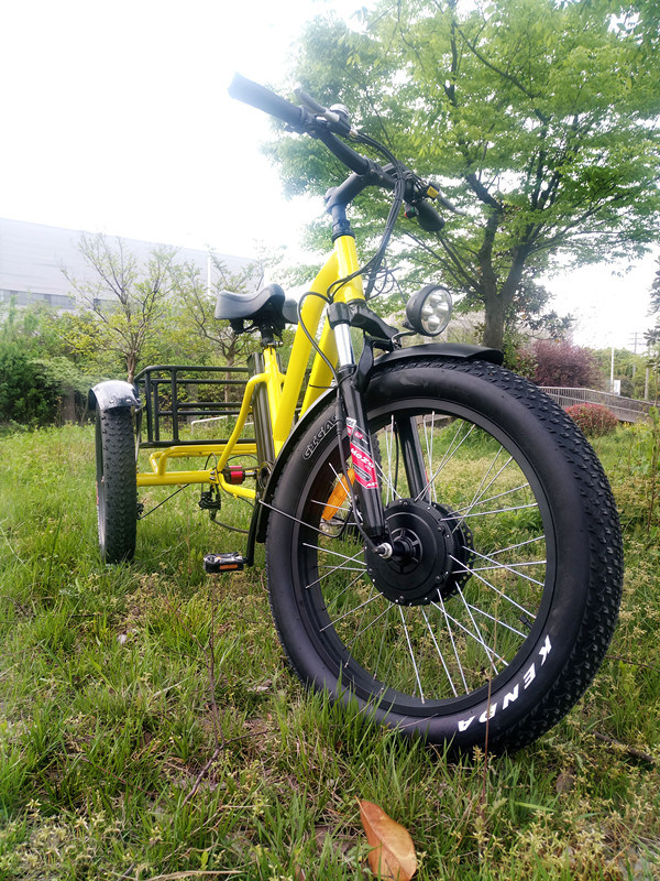 New Design Fat Tire 3 Wheel Electric Trike with Fat Tire Image1