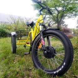 New Design Fat Tire 3 Wheel Electric Trike with Fat Tire