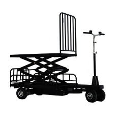 Electric Cargo Tricycle (DH-LS1-C5 Small Fence Curtis Controller 500W Motor)