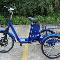 Cheap 500W Electric Disabled Tricycle, 3 Wheel electric Scooter with Lead Acid Battery