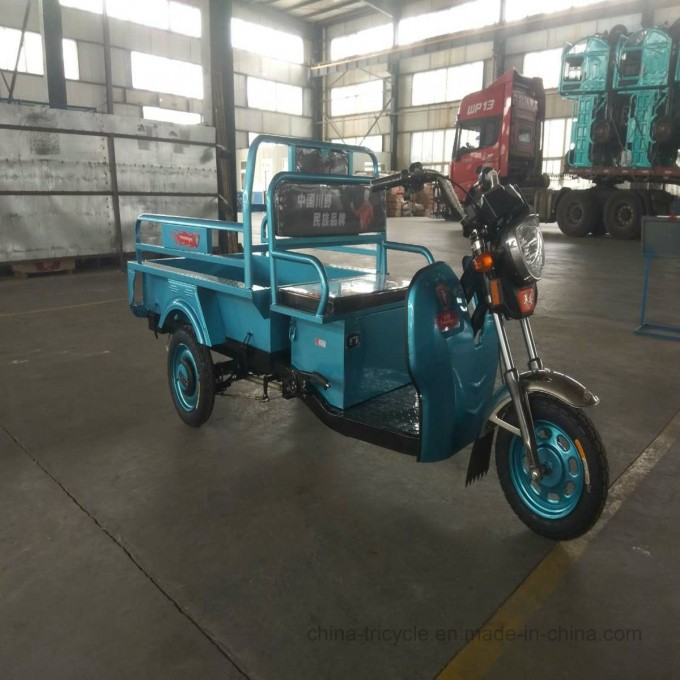 Large Loading Cargo 3 Wheel Electric Trike for Farm Delivery Image1