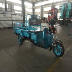 Large Loading Cargo 3 Wheel Electric Trike for Farm Delivery