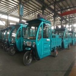 Factory Supply 48V650W Brushless Electric Cargo Trike Manufacturers