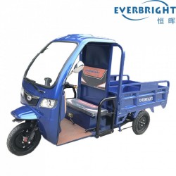 High Power 60V1000W Cargo Electric Tricycle for Adult