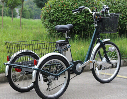 2018 New Big Wheel Electric Mobility Trike Tricycle for Elder Image1