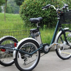 2018 New Big Wheel Electric Mobility Trike Tricycle for Elder