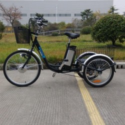 Front 24 Inch Rear 20 Inch 3 Wheel Handicapped Electric Tricycle for Sale