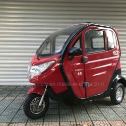 800W Electric Passenger Tricycle