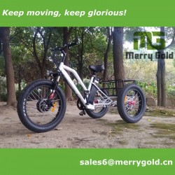 24" 500W Electric Fat Tricycle/Trike for Adults