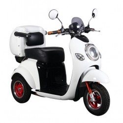 500W Electric Tricycle for Disabled People, 3 Wheel Electric Mobility Scooter From China