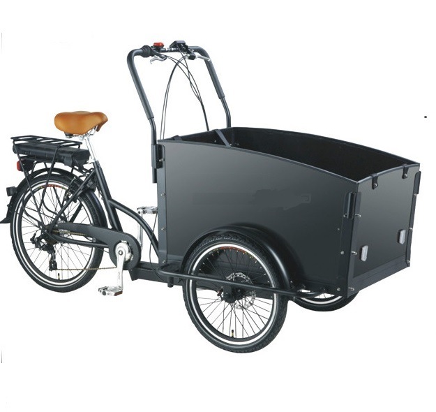 Ice Cream Backward Rickshaw Cargo Bikes Tricycle Pedicab Image1