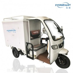 3 Wheel Electric Closed Cargo Tricycle with Cabin