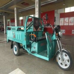 650W Electric Cargo Trike/Tricycle with Big Box Customized