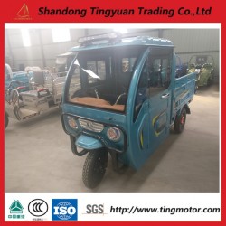 New Electric Tricycl