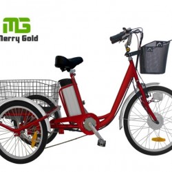 Personal Use Electric Cargo Tricycle