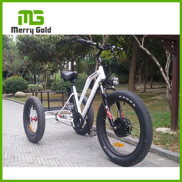 48V 13ah New 3-Wheel Electric Tricycle for Adults Image1