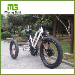 48V 13ah New 3-Wheel Electric Tricycle for Adults