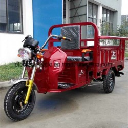 Sale Electric Battery 3 Wheel Loader Small Truck Tricycle Cargo Made in China
