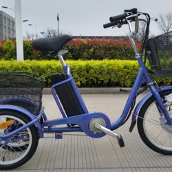 Very Hot Sale 3 Wheel Electric Tricycle Designed for Elders
