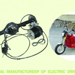 Cargo Tricycle Two Speed Electric Motor 180 Disc Brake Rear Axle with CCC Ce Certificate, DC Gear Mo