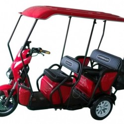 Low Cost Buy Passenger Electric Tricycle for 3 Person